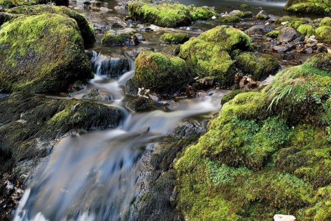 Waterfall in the Wasserlochklamm gorge near Palfau