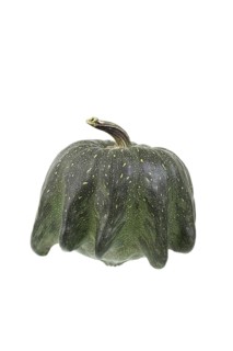Ornamental gourd variety