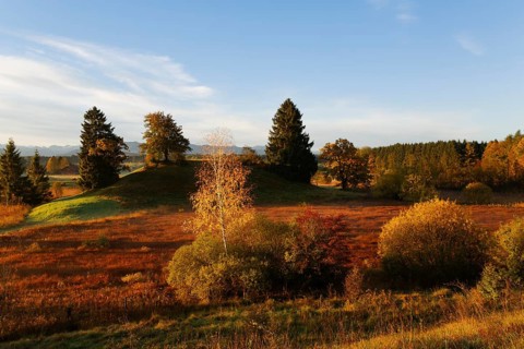 Landscape near the Osterseen lakes near Iffeldorf in the early morning