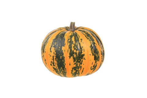 Squash