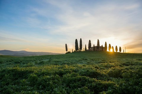 Farm with cypress trees