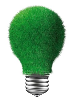 Light bulb covered with grass