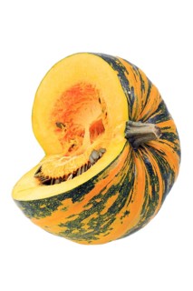 Styrian Oil Pumpkin