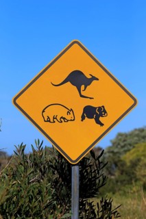 Warning sign