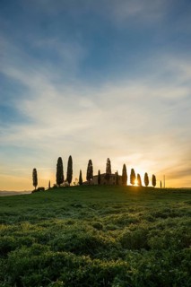 Farm with cypress trees