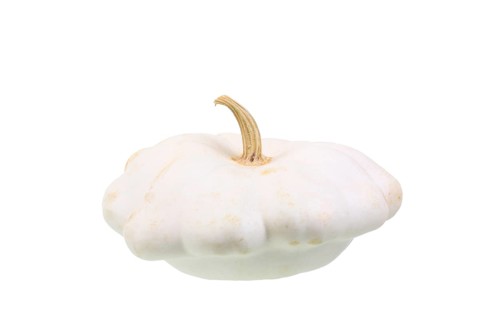 Squash