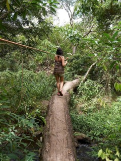Woman balancing on a tree trunk