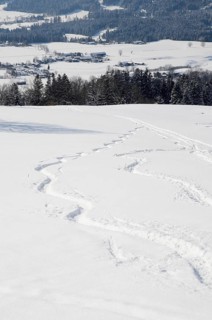 Skiing tracks