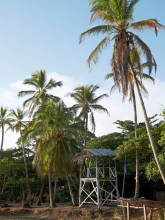 Lookout tower