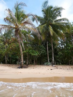 Secluded beach