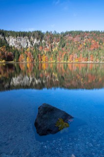 Autumnal forest at Feldsee Lake with reflections