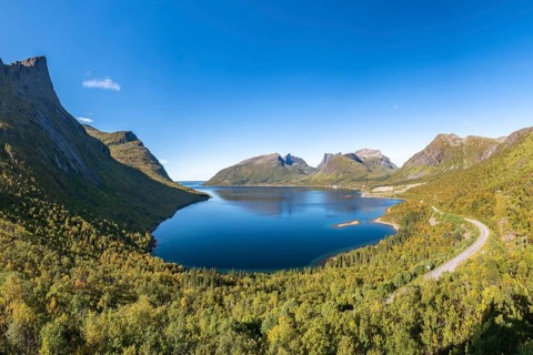 View of Fjord