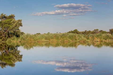 River landscape in Mamili National Park