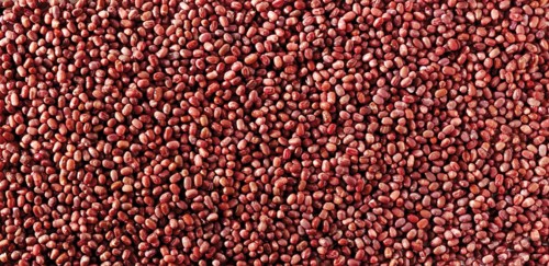Azuki beans