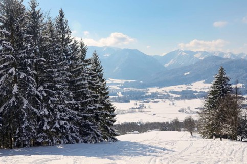 Skiing tracks