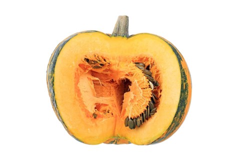 Styrian Oil Pumpkin