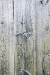 Old wood texture