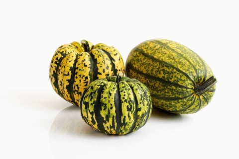 Spaghetti Squash and Chameleon Pumpkins