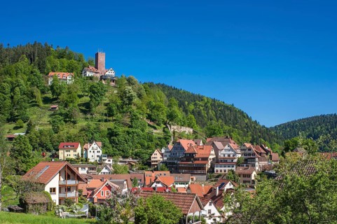 Cityscape with Burg Liebenzell Castle