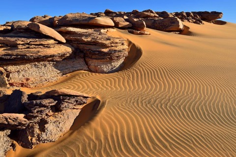 Bicoloured Dunes Noires