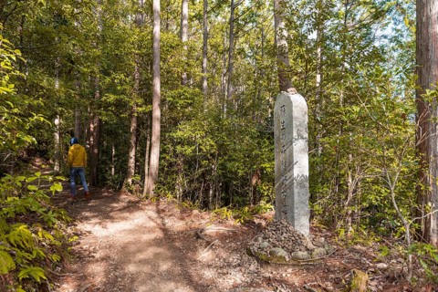 Young man on hiking trail