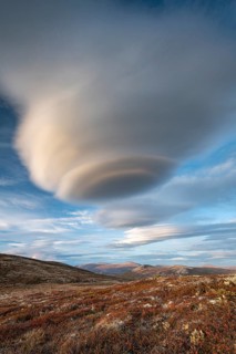 Autumnal Tundral landscape in Dovrefjell