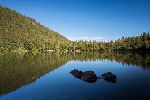 Lake Feldsee on a late summer day