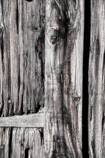 Wood grain in detail