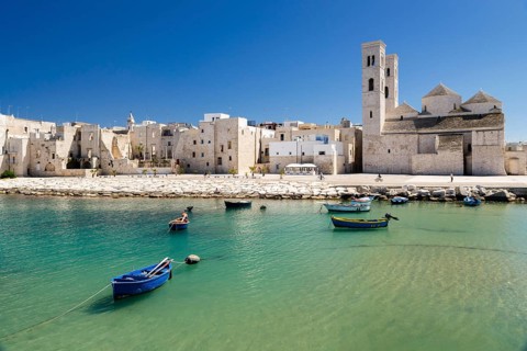 Fishing boats in the harbor