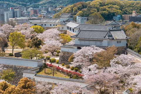 Outside Himeji Castle