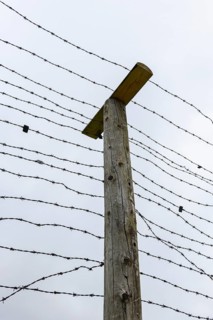 Wire fence at former border