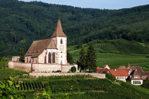 Gothic fortified church of Saint-Jacques in the vineyards