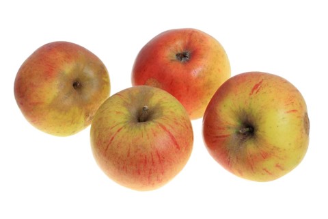 Apples