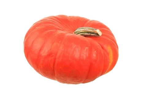 Squash