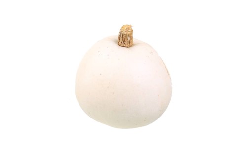 Squash