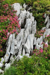 Karst