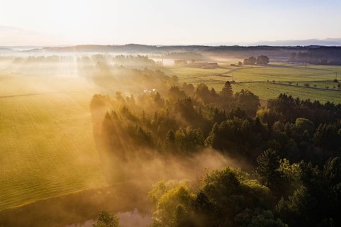Cultural landscape with Loisach Canal in the morning fog