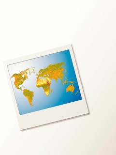 Polaroid with world map