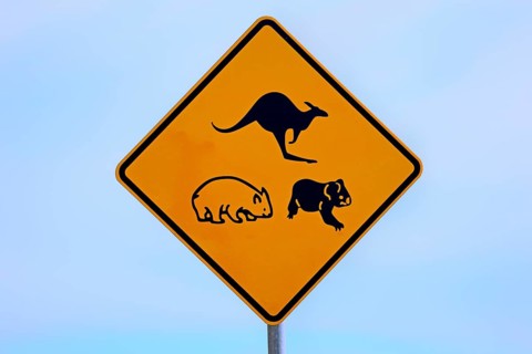 Warning sign
