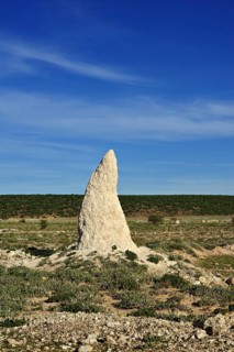 Termite mound
