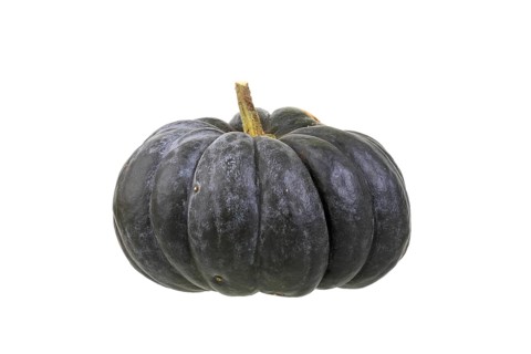 Pumpkin 'musque de Provence' variety