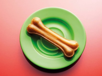 Dog bone on a green plate
