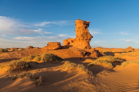 Evening light in the Sahara near Timimoun