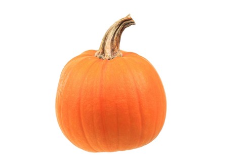 Squash