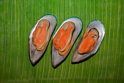 Cooked New Zealand green-lipped mussels (Perna canalicula) from New Zealand lying on a banana leaf