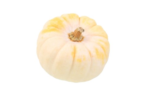 Baby Boo gourd