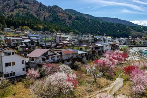 View to Nagiso