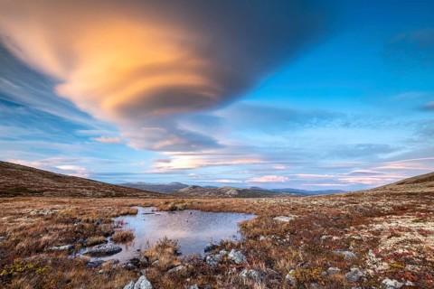 Autumnal Tundral landscape in Dovrefjell at evening mood