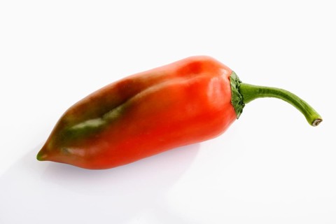 Pointed pepper (capsicum)