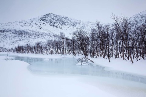Creek on Kattfjord pass in winter